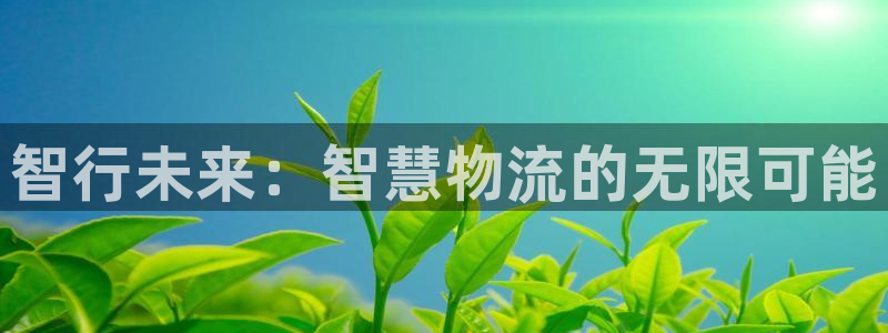 28圈账号注册