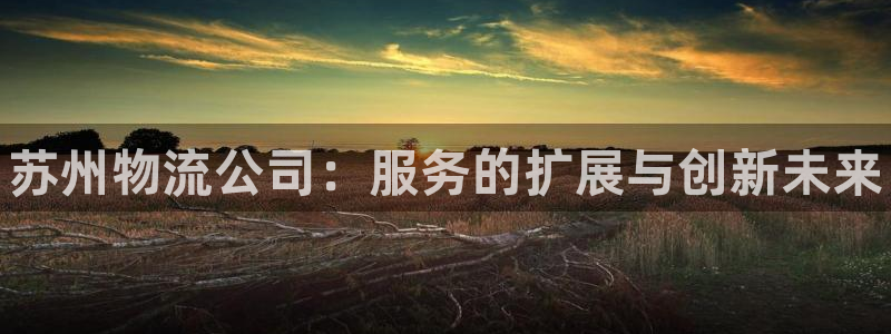 28圈推广链接是多少：苏州物流公司：服务的扩展与创新未来