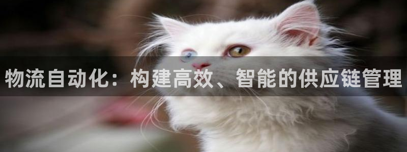 28圈软件:物流自动化:构建高效、智