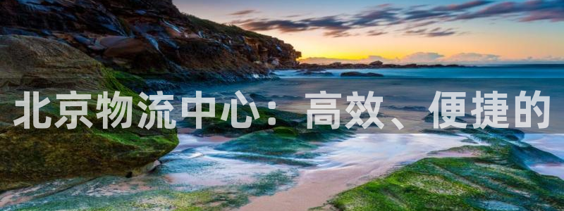 28圈注册上限是啥意思:北京物流中心