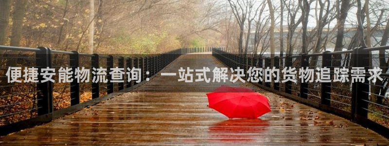 28圈注册网站链接怎么弄：便捷安能物