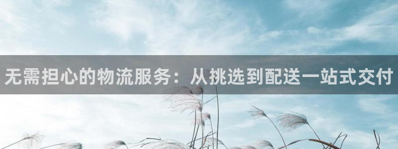 28圈选28ng官网：无需担心的物流