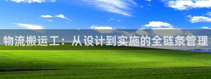 28圈登录:物流搬运工:从设计到实施