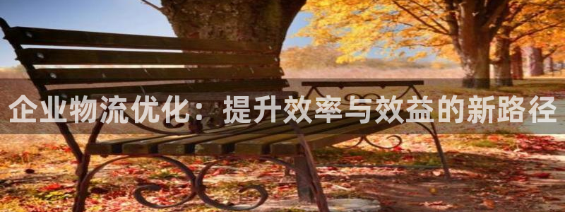 28圈违法吗：企业物流优化：提升效率