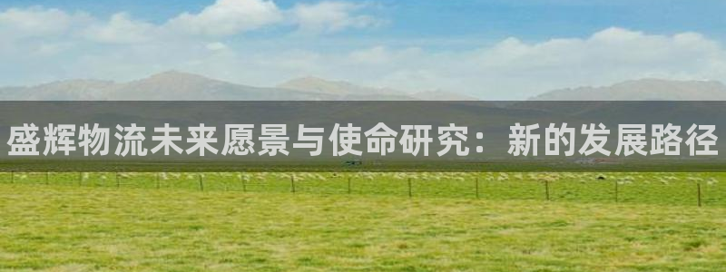 28圈防失联网址：盛辉物流未来愿景与使命研究：新的发展路径