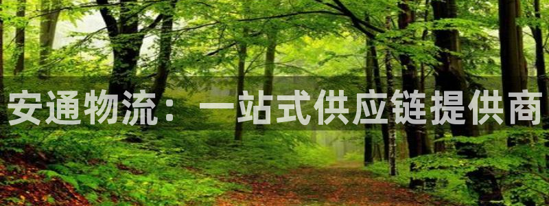 28圈赌博被抓：安通物流：一站式供应