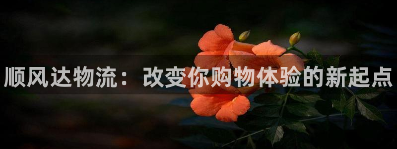 28圈官网多少：顺风达物流：改变你购