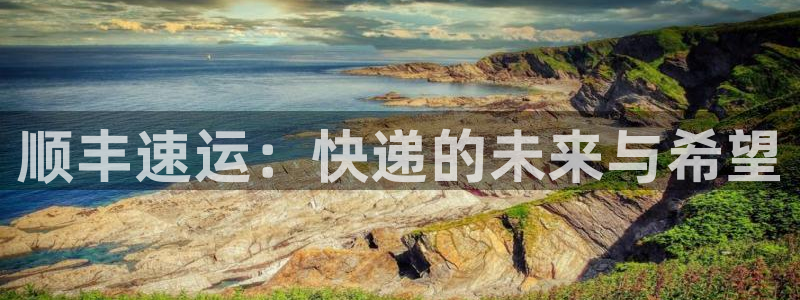 28圈游戏最新版:顺丰速运:快递的未