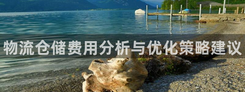 28圈返水怎么算的：物流仓储费用分析