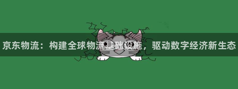28圈官方：京东物流：构建全球物流基础设施，驱动数字经济新生