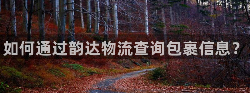 28圈技巧:如何通过韵达物流查询包裹