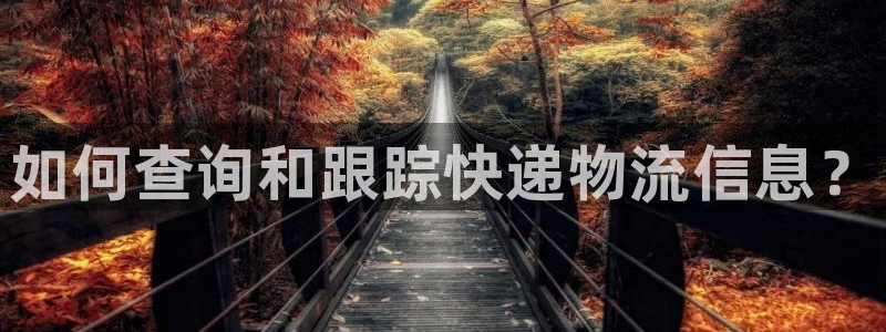 28圈模拟器下载：如何查询和跟踪快递