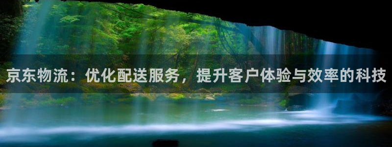 28圈官网平台下载：京东物流：优化配