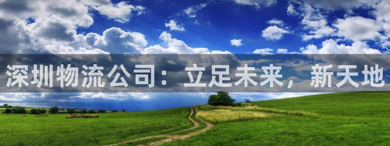 28圈游戏官网版：深圳物流公司：立足