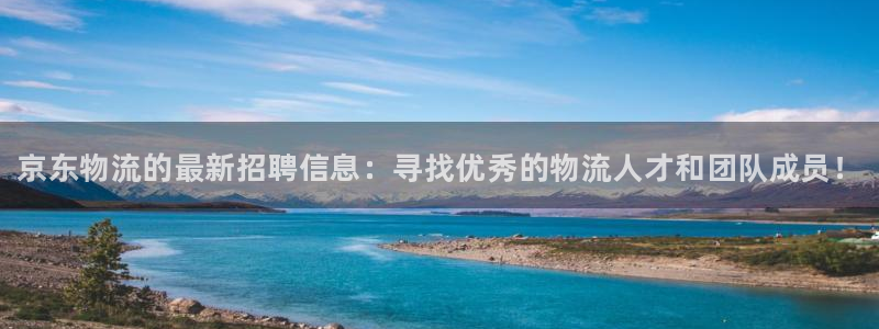 28圈口内径是多大:京东物流的最新招