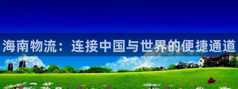 28圈取保：海南物流：连接中国与世界
